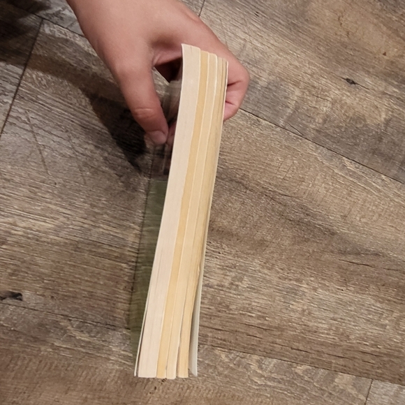 The Puppy Place Summer Reading Scholastics 4 book set - Reading level 2 - Picture 9 of 10